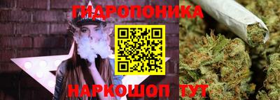 spice Обь