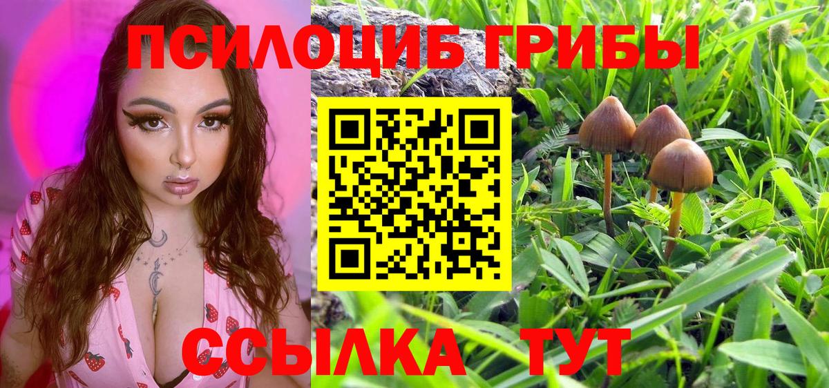 Тайшет  Псилоцибиновые грибы Magic Shrooms  Вход с VPN  Галлюциногенные грибы Magic Shrooms 